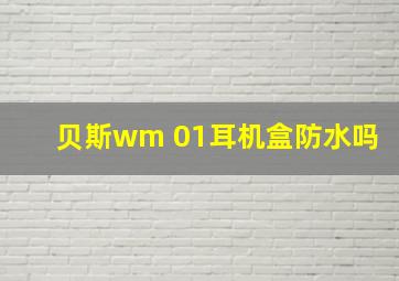 贝斯wm 01耳机盒防水吗